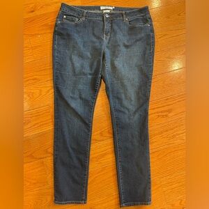 Torrid Denim Skinny Jeans